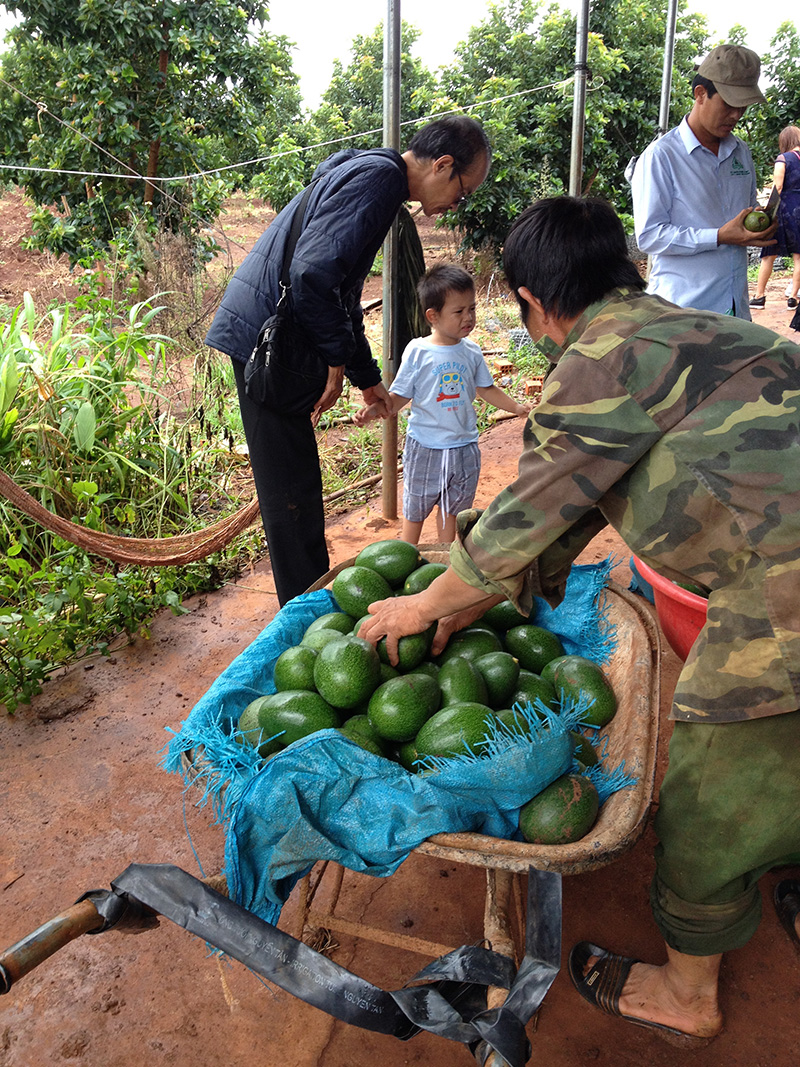 Tuổi thơ sinh động