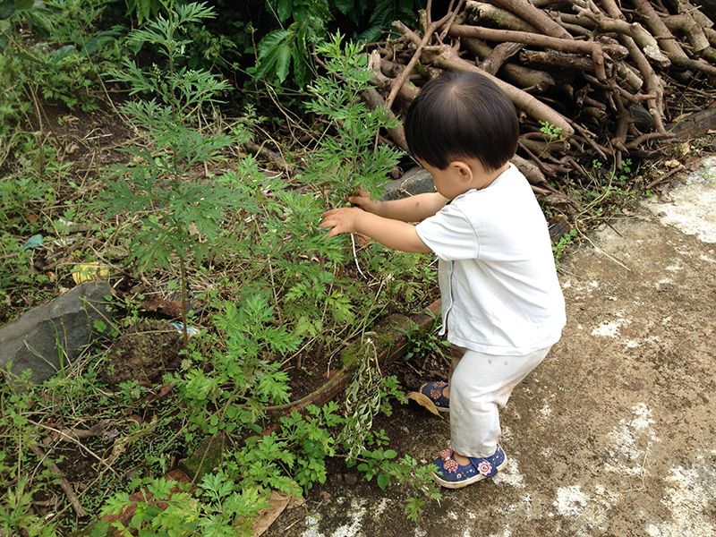 Tuổi thơ sinh động