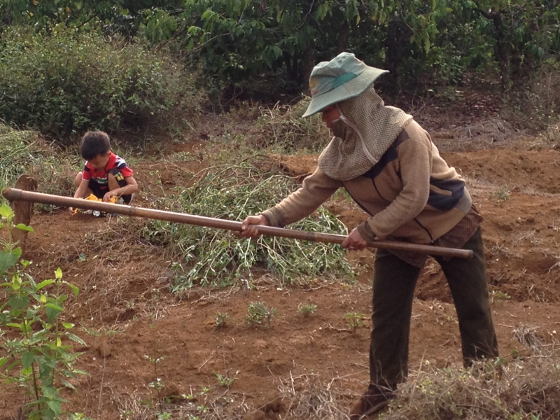 Làm việc ngoài trời là một đặc ân