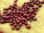 Researching coffee products in the form of a liquid and beans 